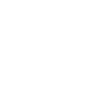 红网